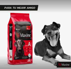 Alimento Maxine para Perros Adulto 21 kg